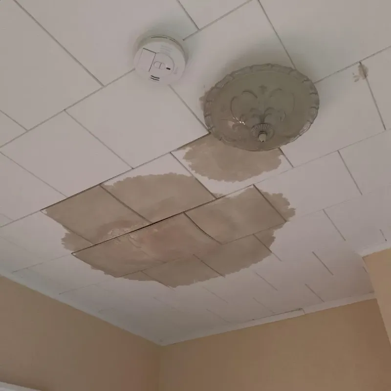 Ceiling Water Damage Repair in Waldron, AR