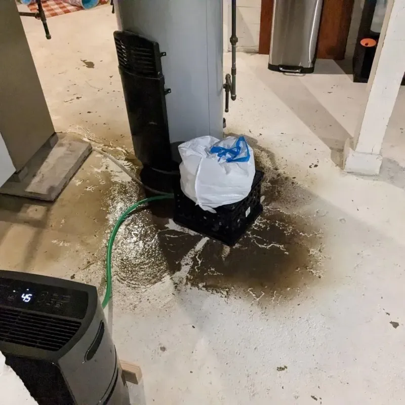 Sewage Backup Cleanup Service in Waldron, AR